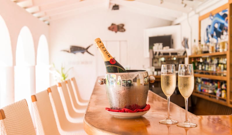 Mount Cinnamon-Savvys Bar_941